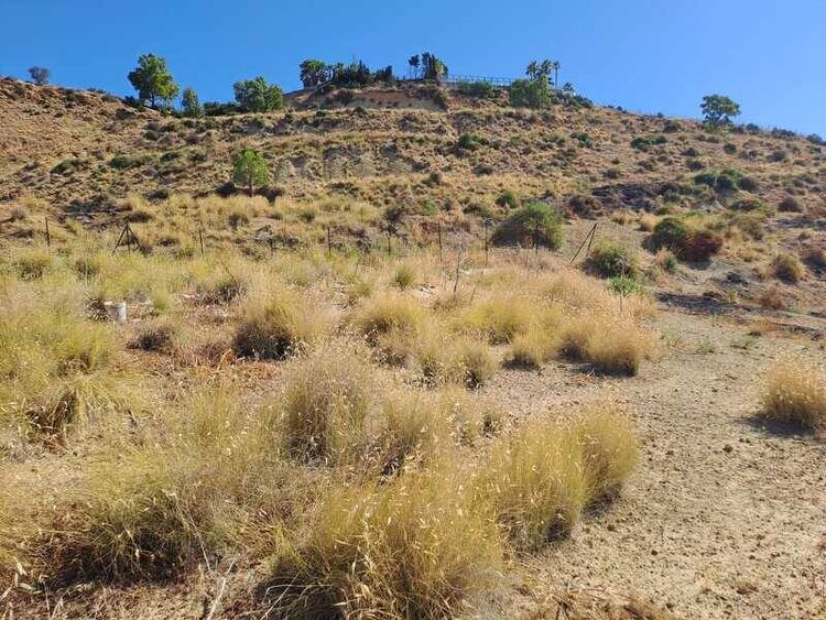 foto 3 del terreno
