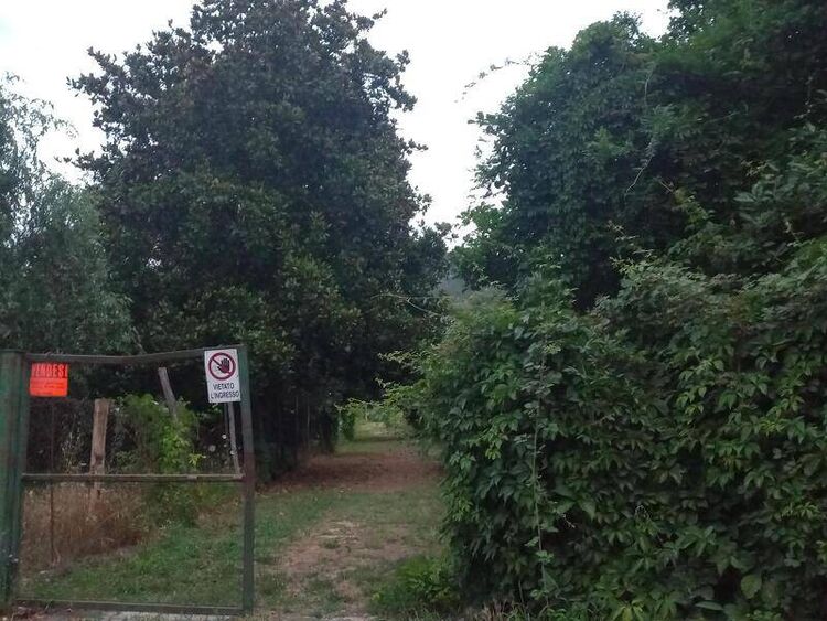 foto 3 del terreno