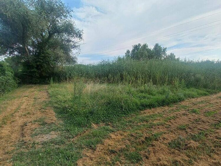 foto 4 del terreno