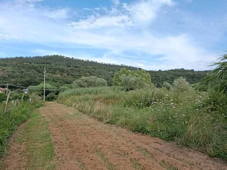 foto 5 del terreno