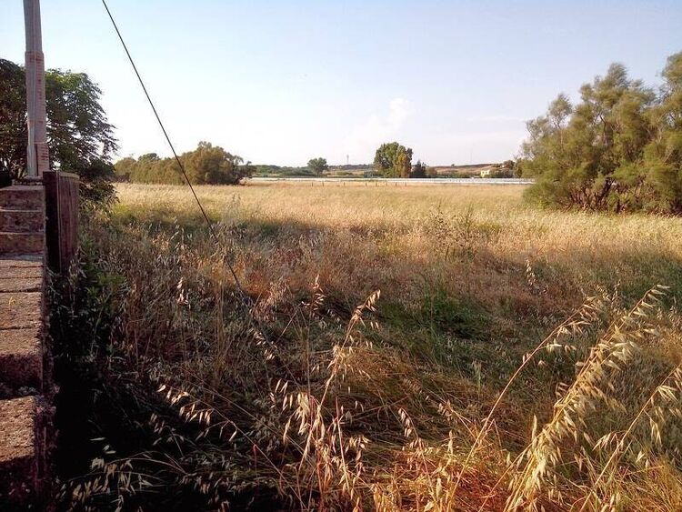 foto 2 del terreno