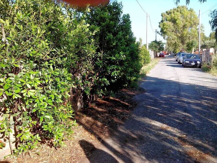 foto 4 del terreno
