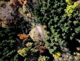 anteprima foto 10 del terreno - ID 78557