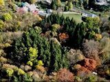 anteprima foto 5 del terreno - ID 78557