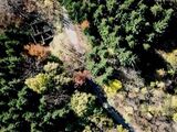 anteprima foto 9 del terreno - ID 78557
