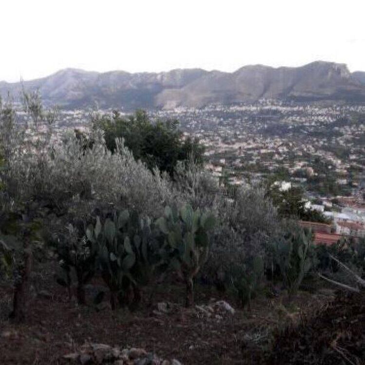foto 2 del terreno