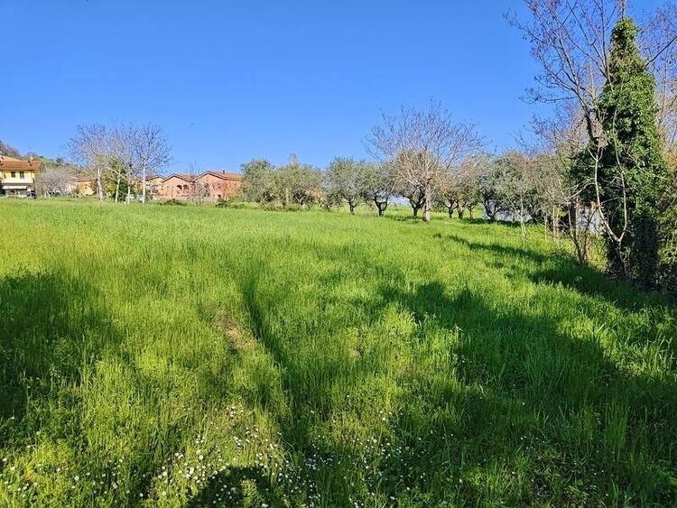 foto 2 del terreno