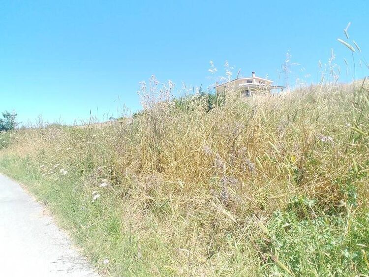 foto 4 del terreno