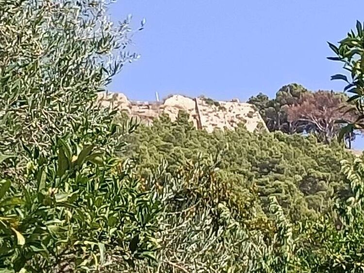 foto 3 del terreno