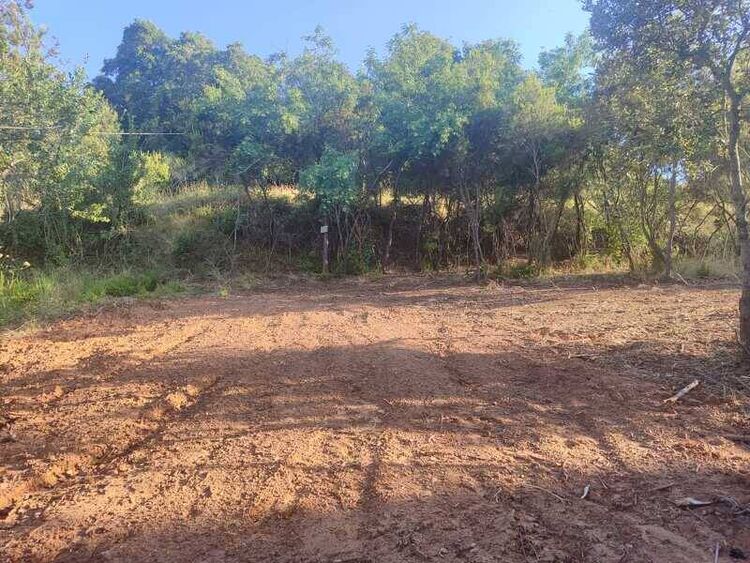 foto 3 del terreno