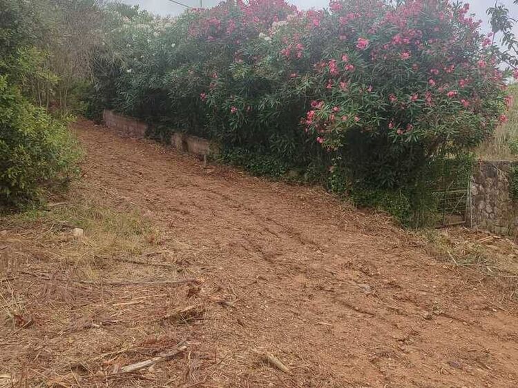 foto 4 del terreno