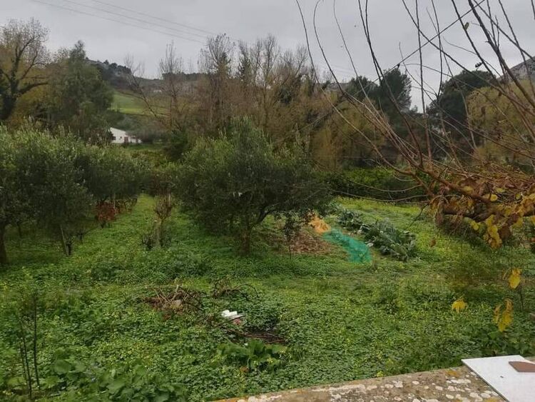 foto 5 del terreno