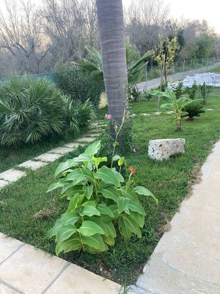 foto 4 del terreno