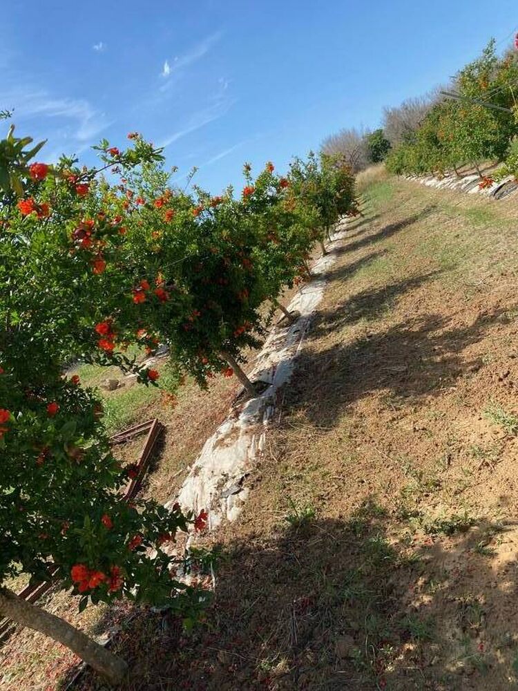 foto 5 del terreno