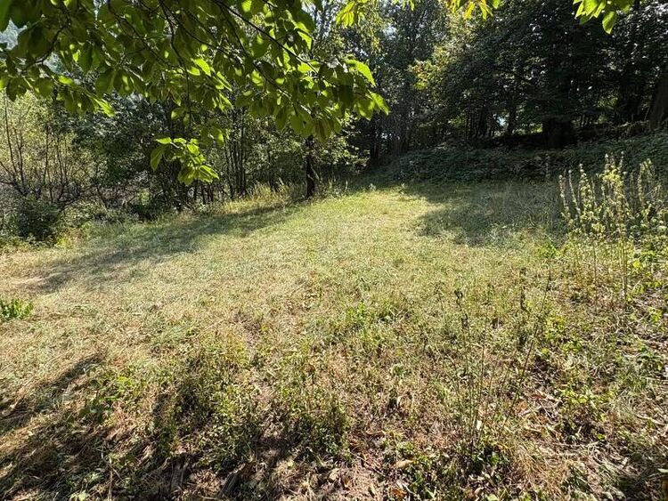 foto 2 del terreno