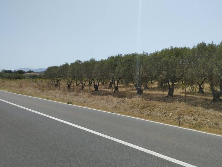 foto 3 del terreno