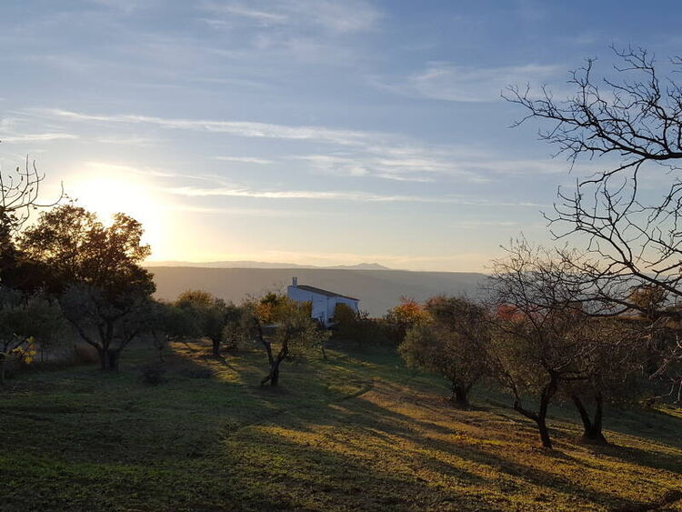 foto 4 del terreno