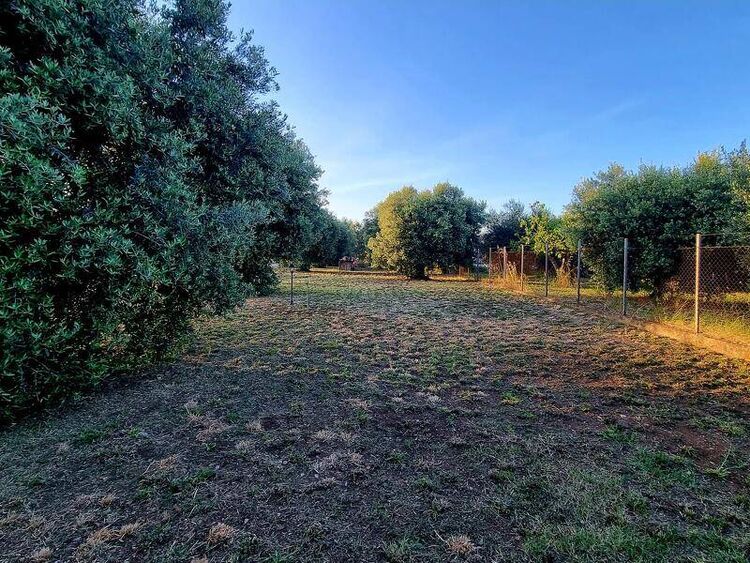 foto 4 del terreno