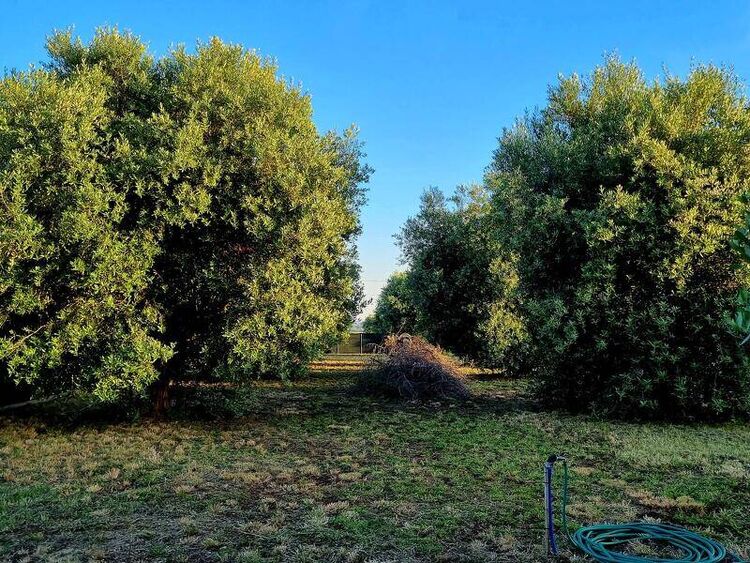 foto 5 del terreno