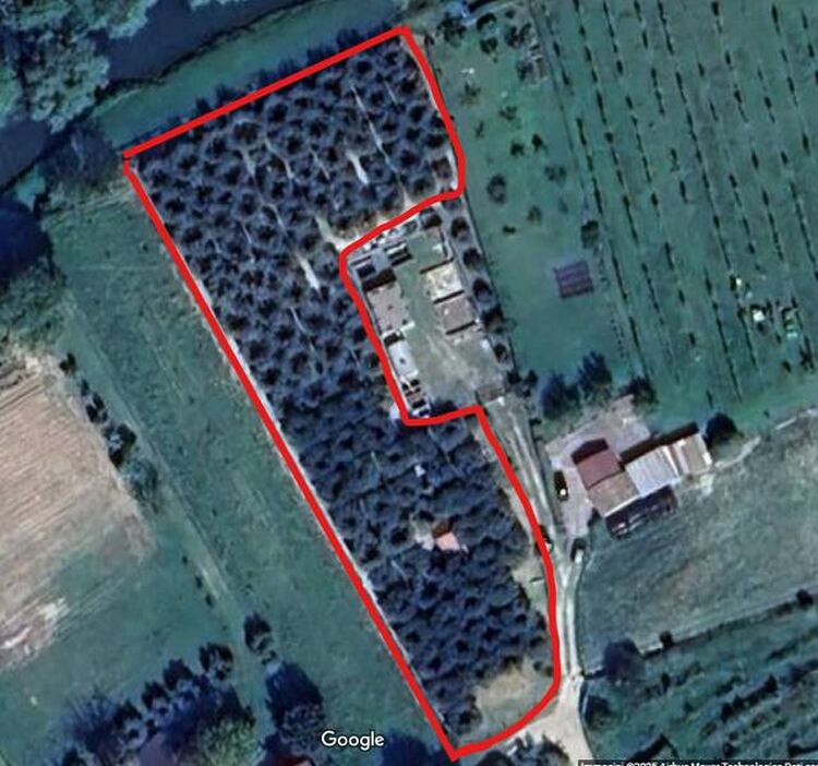foto 4 del terreno