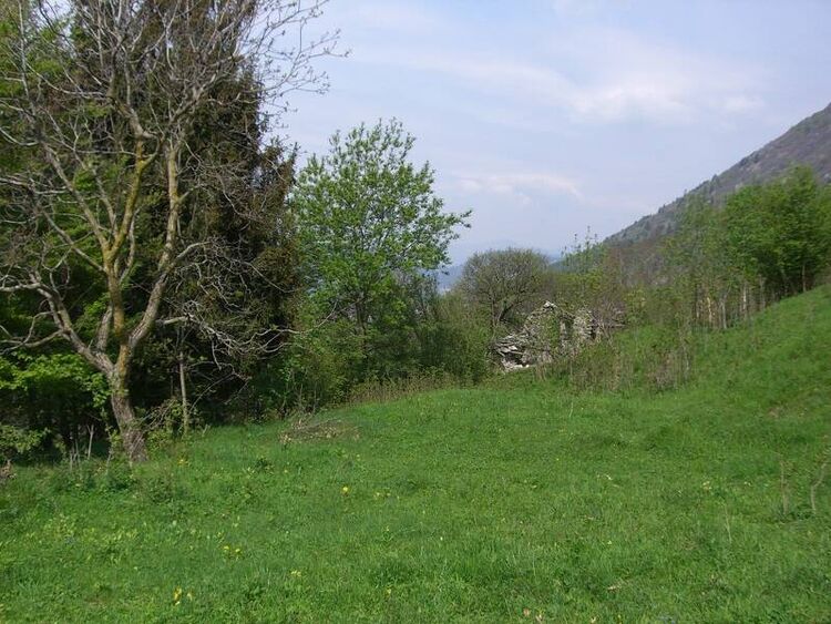 foto 4 del terreno