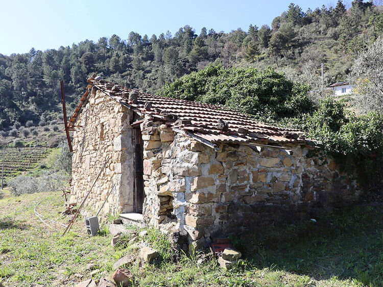 foto 3 del terreno