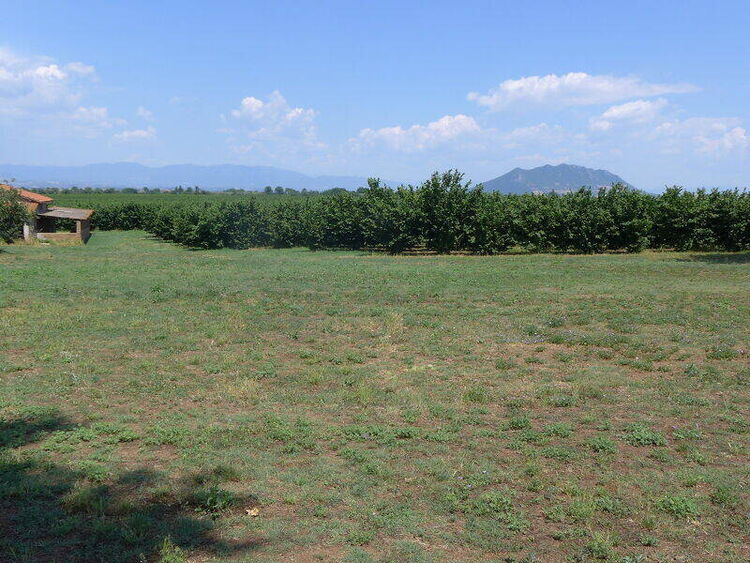 foto 2 del terreno