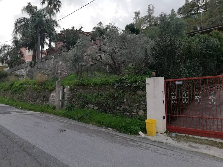 foto 2 del terreno