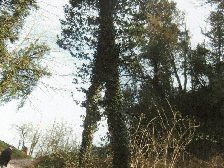 foto 3 del terreno