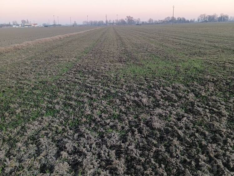 foto 4 del terreno