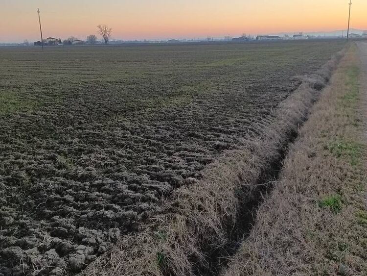 foto 5 del terreno