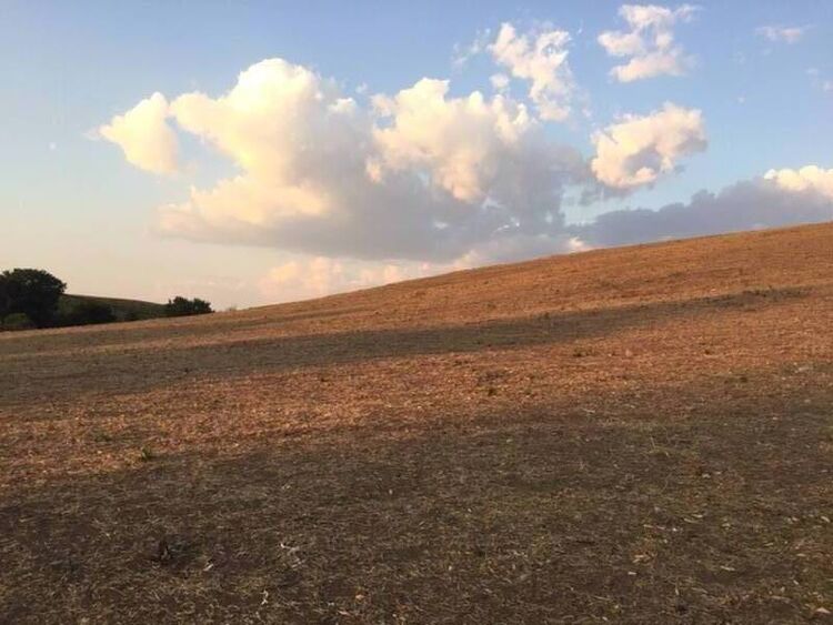 foto 2 del terreno