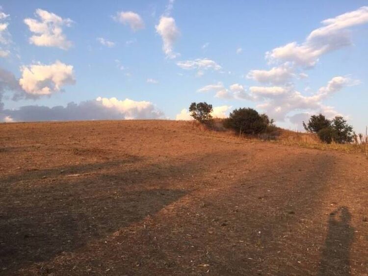 foto 4 del terreno