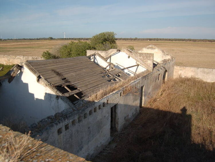 foto 13 del terreno