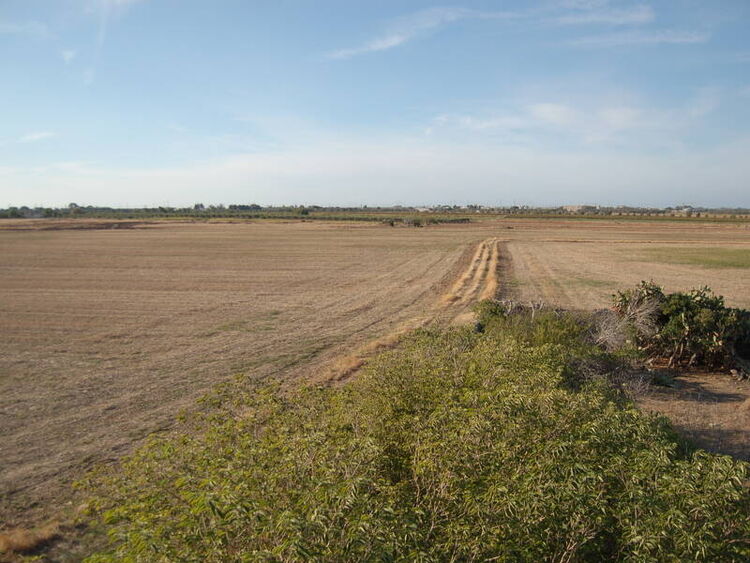 foto 14 del terreno