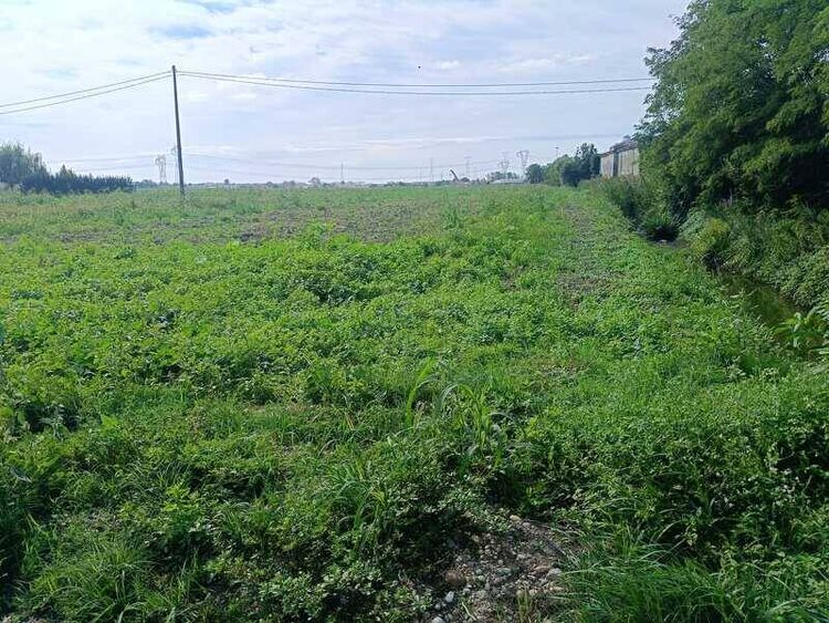 foto 2 del terreno