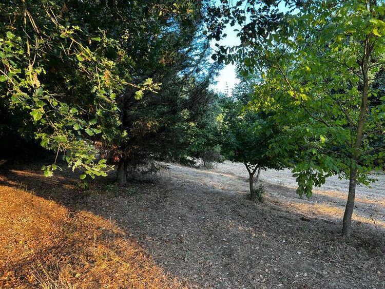 foto 2 del terreno