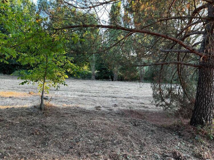 foto 4 del terreno
