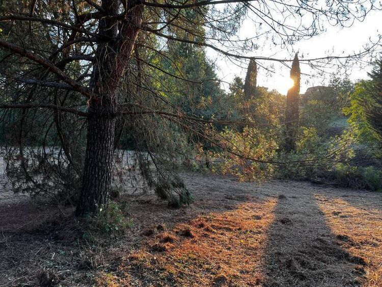 foto 5 del terreno