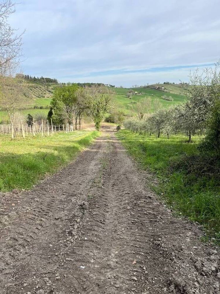 foto 2 del terreno