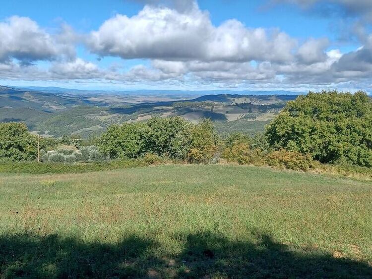 foto 3 del terreno