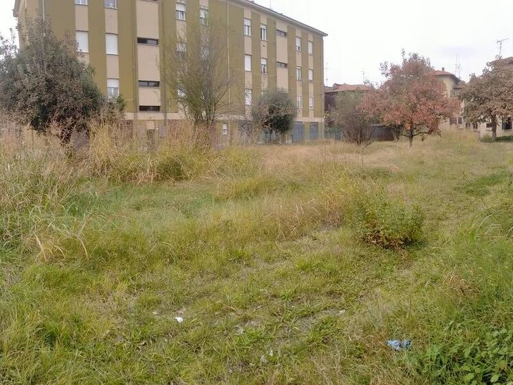 foto 2 del terreno