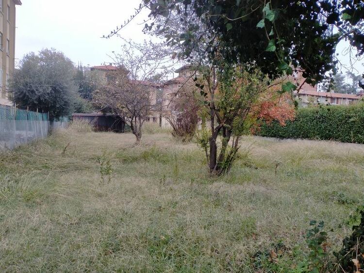 foto 3 del terreno