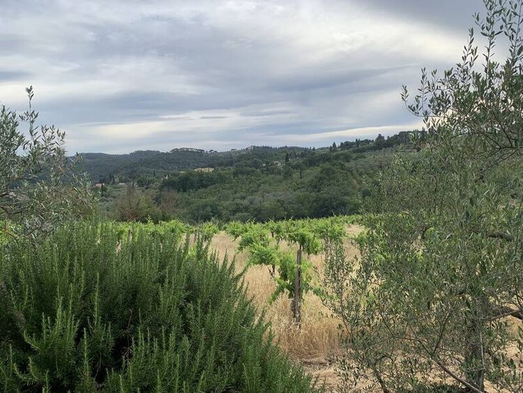 foto 2 del terreno