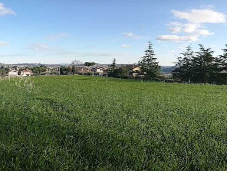 foto 2 del terreno