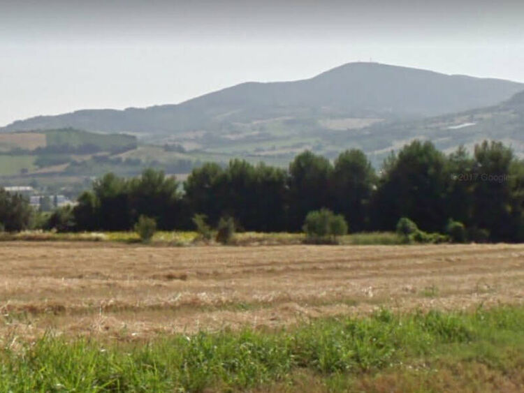 foto 4 del terreno