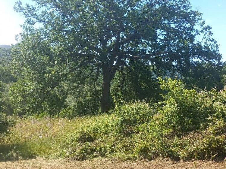 foto 2 del terreno