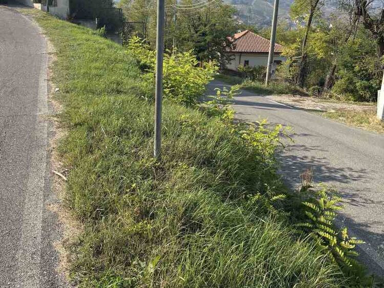 foto 4 del terreno