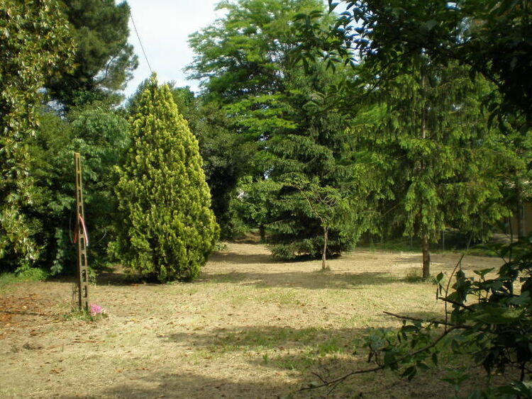 foto 5 del terreno