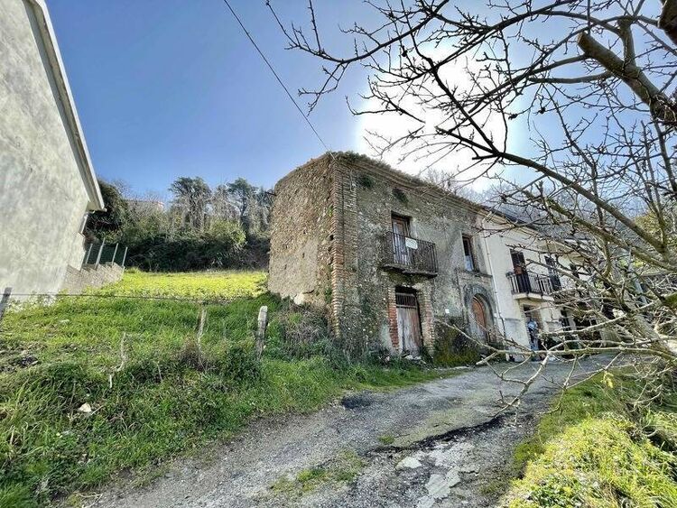 foto 4 del terreno